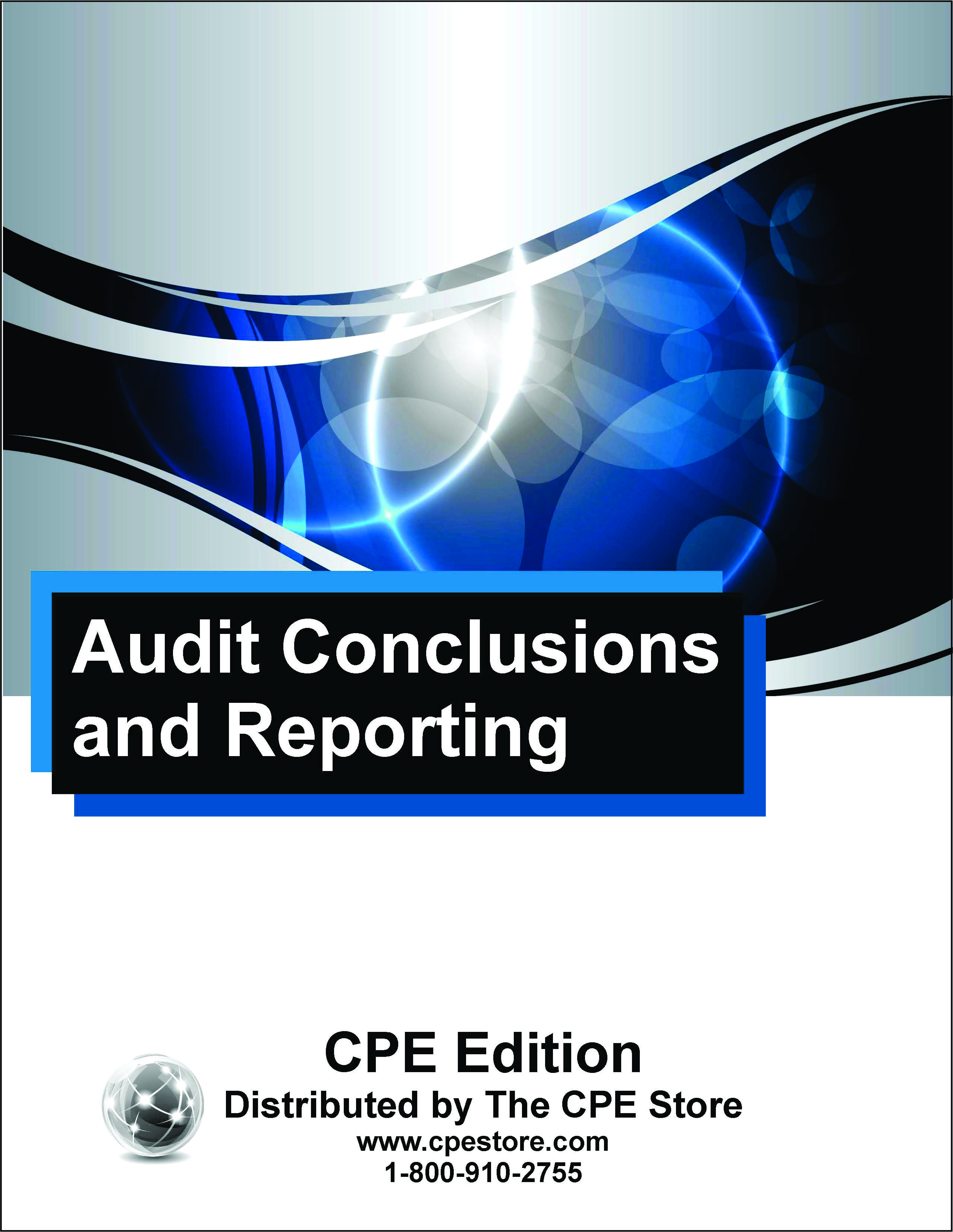 Audit Conclusions and Reporting