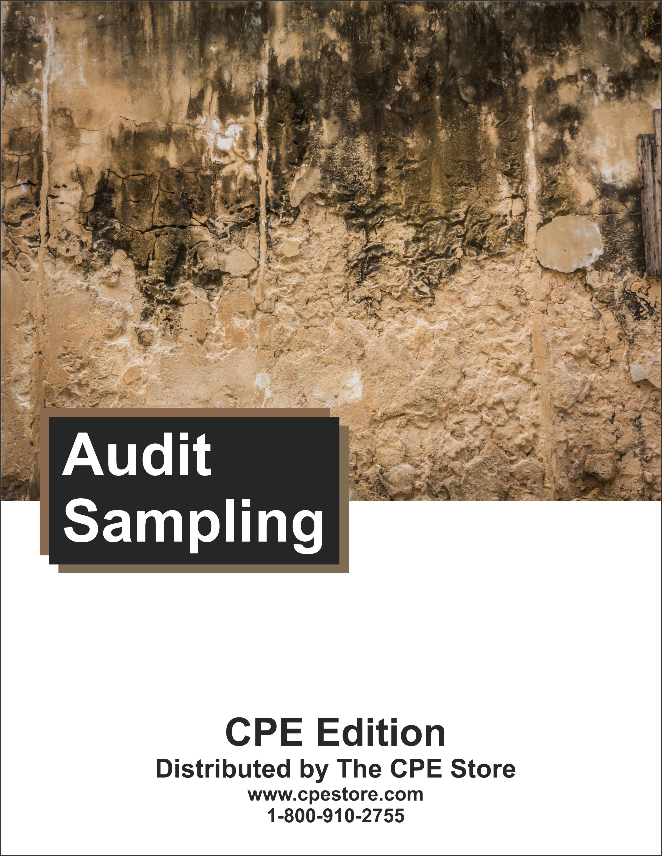 Audit Sampling