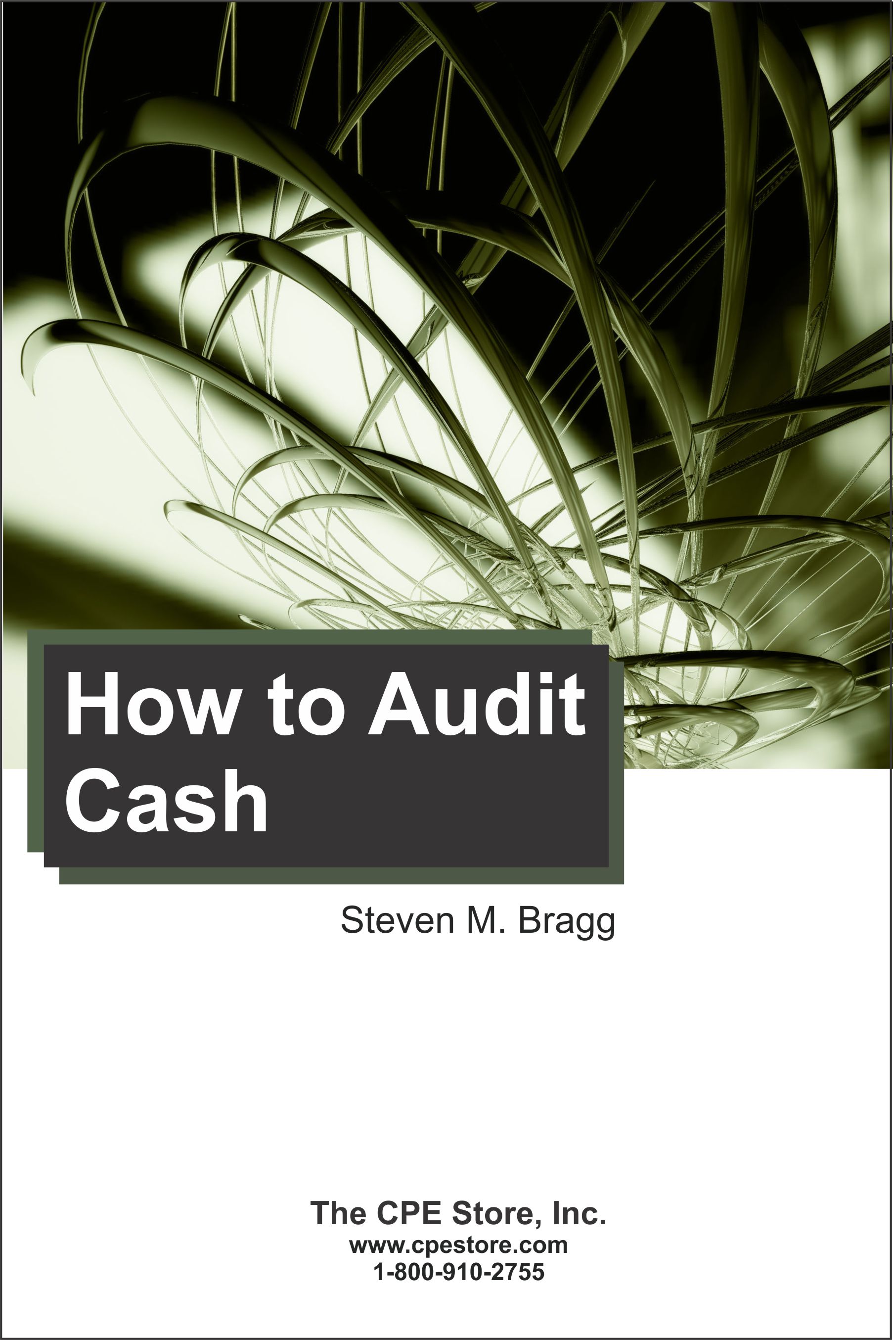 Accounting & Auditing The CPE Store, Inc.