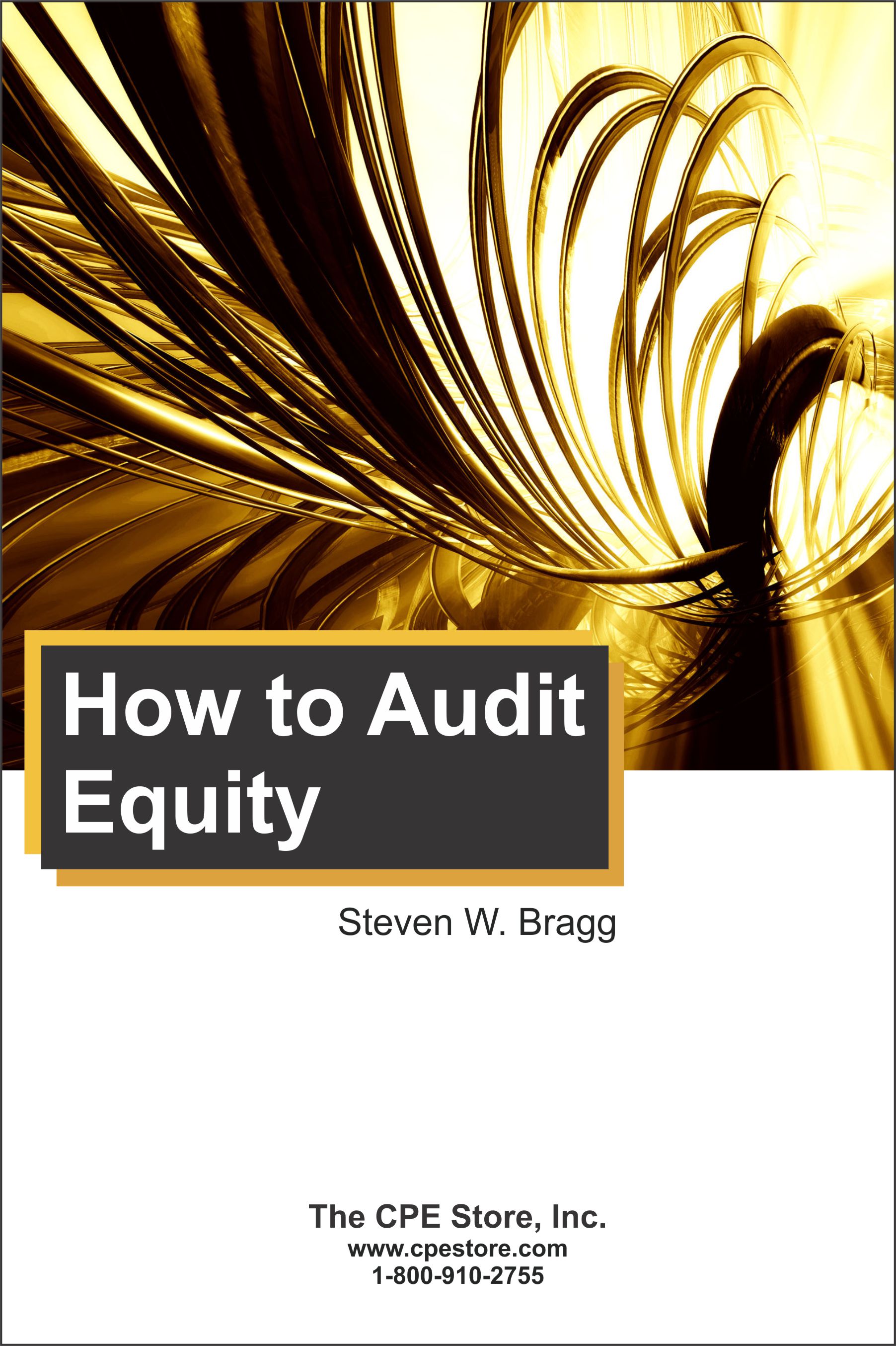 How to Audit Equity